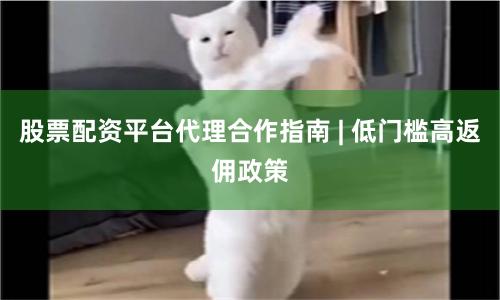 股票配资平台代理合作指南 | 低门槛高返佣政策